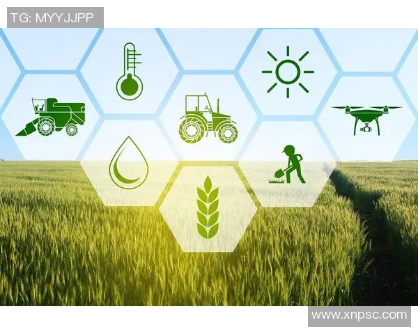 弗格的崛起与挑战：探索其在当代社会中的影响与未来发展潜力