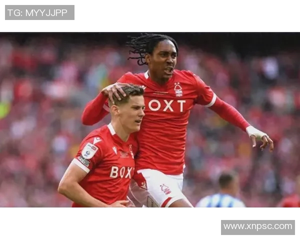 斯旺西对阵诺丁汉精彩直播回顾与赛后分析全方位解读