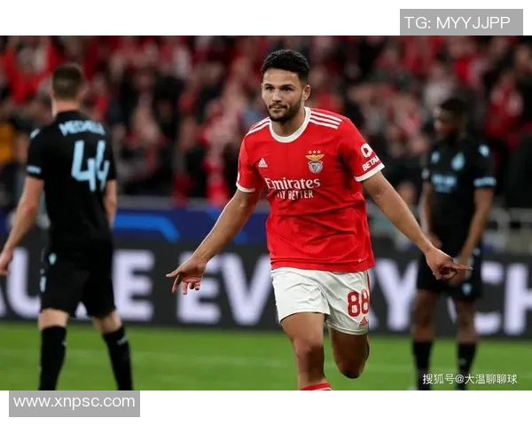 本菲卡对赫尔城比赛分析与推荐策略详解 本菲卡对赫尔城比赛分析与推荐策略详解