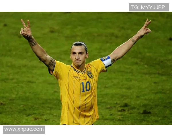 庆南与首尔足球比赛前瞻及比分预测分析,谁将赢得这场激烈对决 庆南与首尔足球比赛前瞻及比分预测分析,谁将赢得这场激烈对决