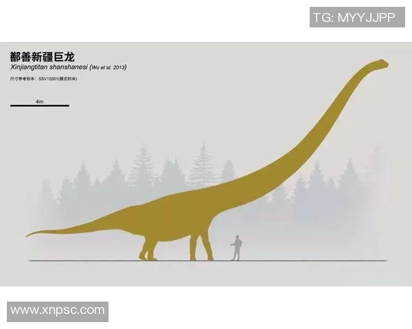 探索斯通斯的历史与文化影响力揭示其在当代社会的独特地位与价值 探索斯通斯的历史与文化影响力揭示其在当代社会的独特地位与价值