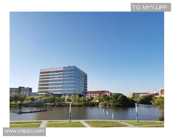 飞盘与梦想交织的旅程:张军的深度对话与人生启示MBA 飞盘与梦想交织的旅程:张军的深度对话与人生启示MBA