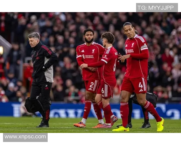 布莱顿主场迎战利物浦双方争夺英超积分榜关键战役