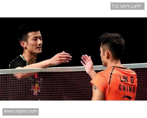 林丹与谌龙2014年巅峰对决揭示羽毛球世界的荣耀与挑战