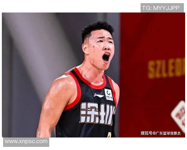 贺希宁：从篮球新星到职业生涯巅峰的成长之路与奋斗故事