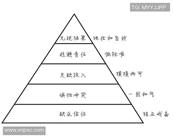 杭州排球队的团队协作精神与排球竞技的完美结合探讨