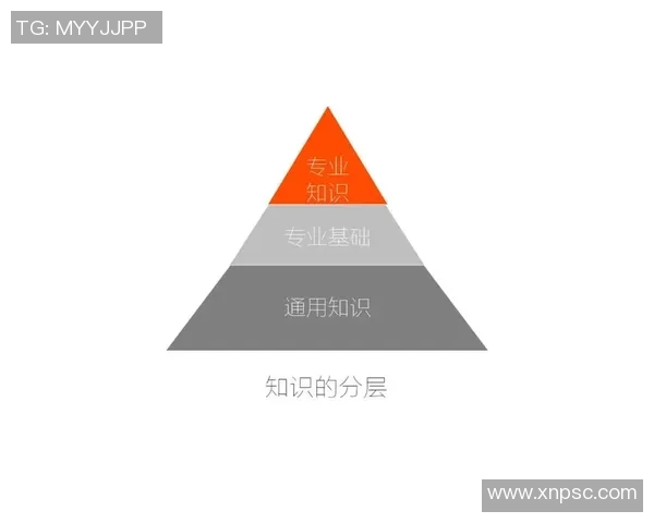上海网球队战术解析:构建高效控制体系的成功之道