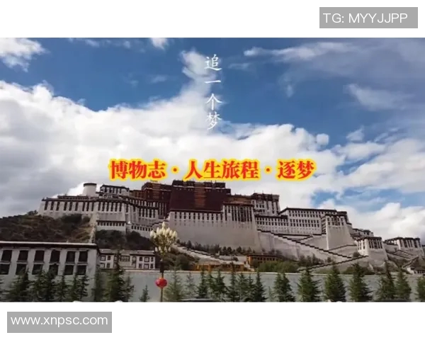 乒乓球场上的追梦旅程:陈强的坚持与热爱之路 乒乓球场上的追梦旅程:陈强的坚持与热爱之路